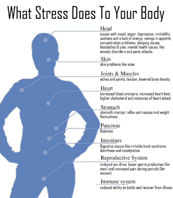 Stress and Body Diagram
